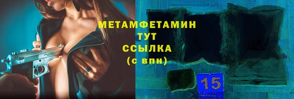 шишки Абаза