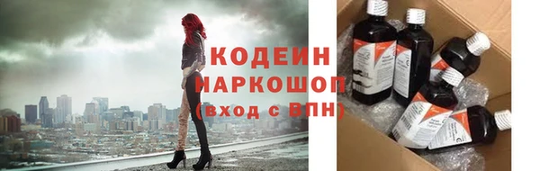 шишки Абаза