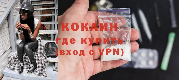 шишки Абаза