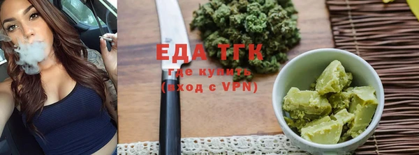 шишки Абаза