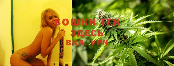 шишки Абаза