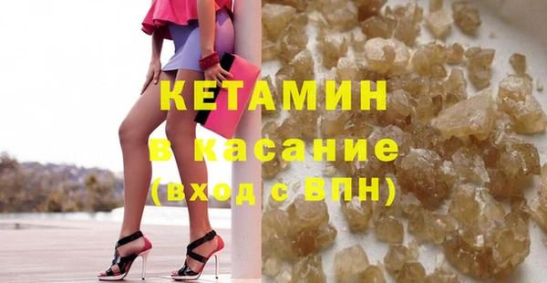шишки Абаза